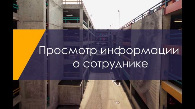 информация о сотруднике