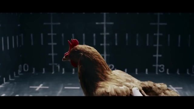 активная подвеска Mersedes-Benz