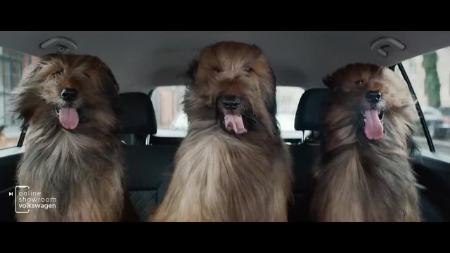 Volkswagen Teramont. 3-зонный климат-контроль Climatronic1