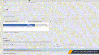 12. Полис GAP 29.02.2020