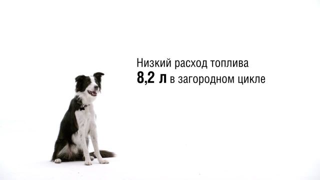 Honda Pilot_ выгода во всём
