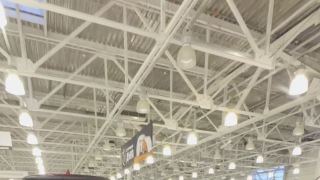 NE015548 Voyah Free 15.11.MOV