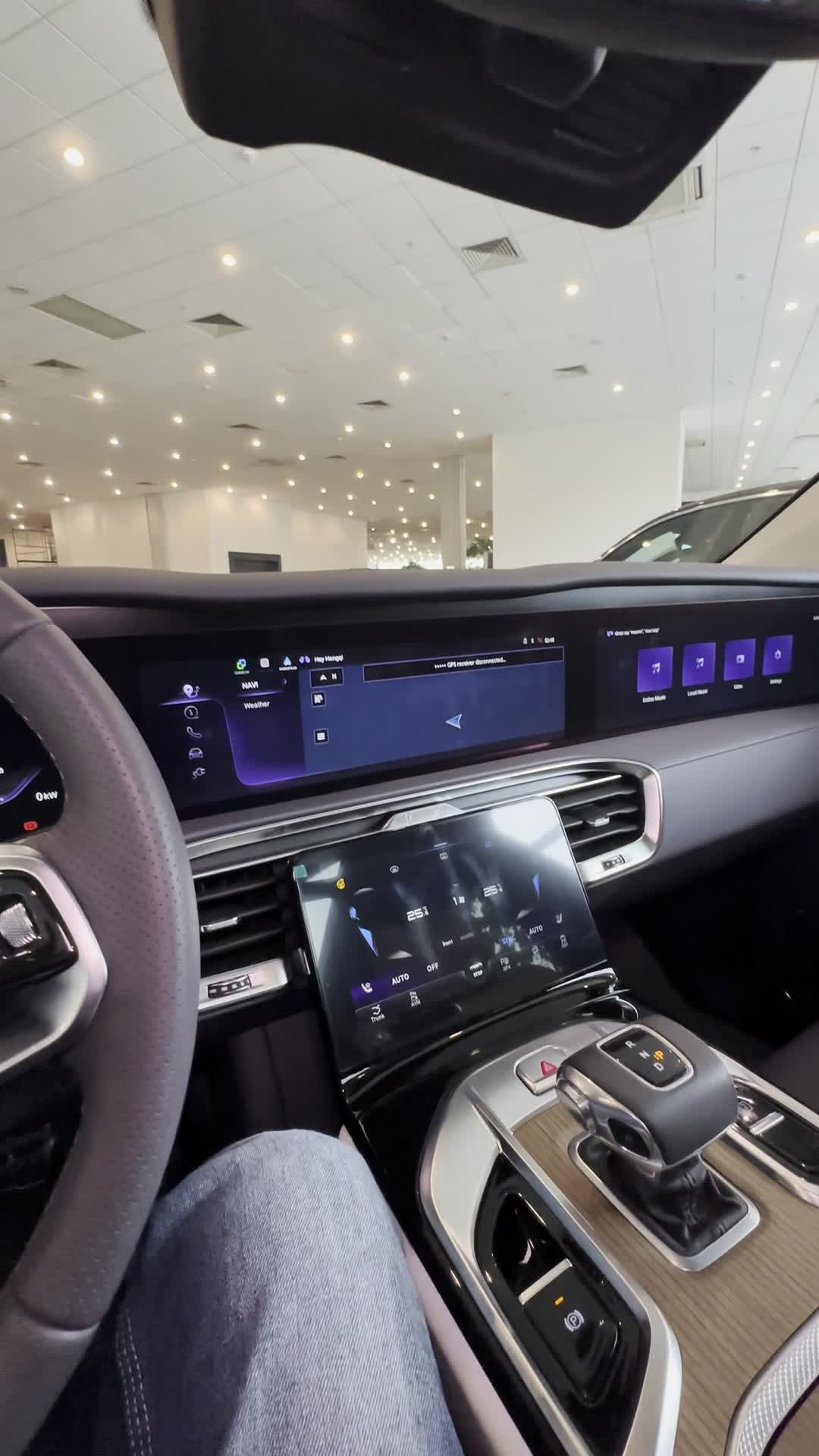 29.04 L15138 Hongqi E-HS9.MOV