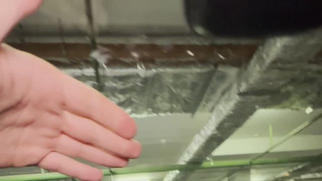 06.05 1A446424 Mercedes-Benz S.MOV