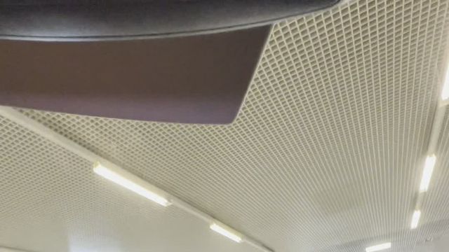 25.07 000342 Genesis GV80.MOV