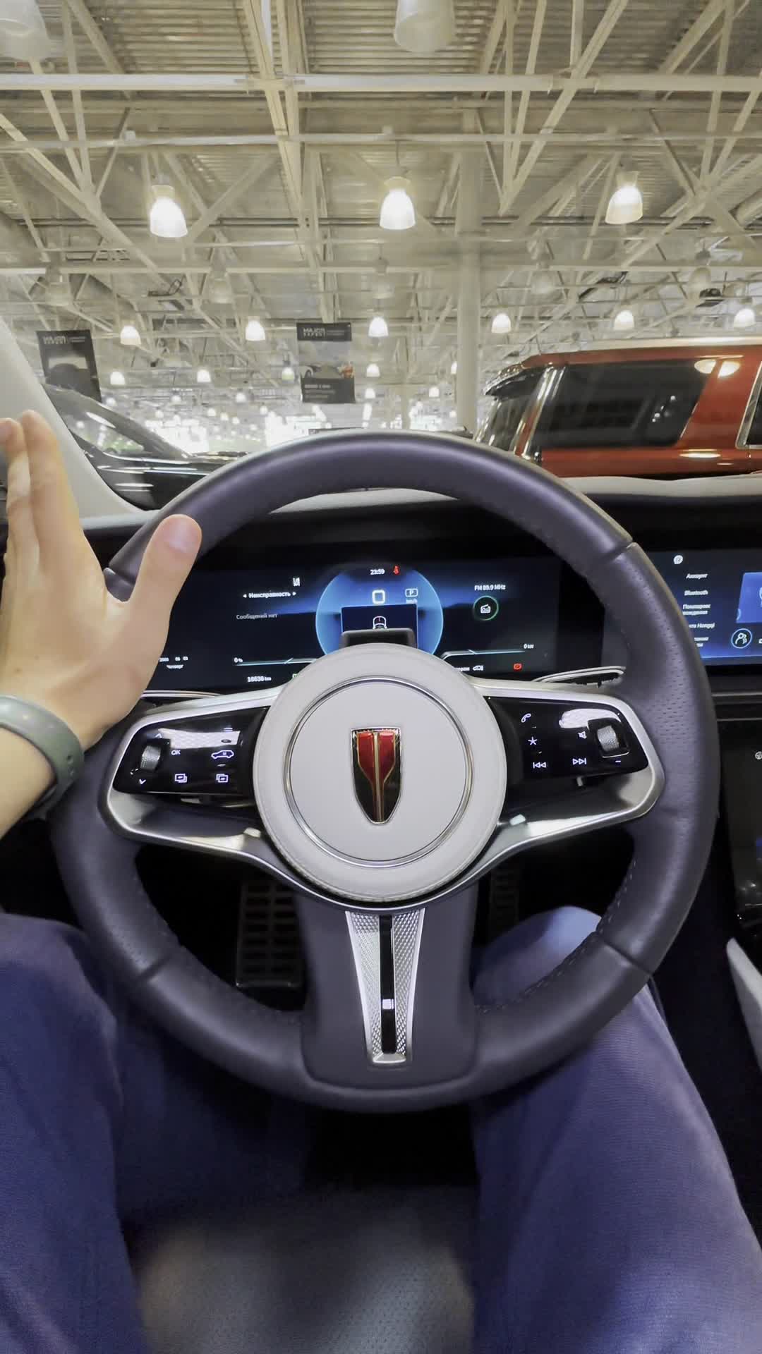 15.08 L30387 Hongqi E-HS9.MOV