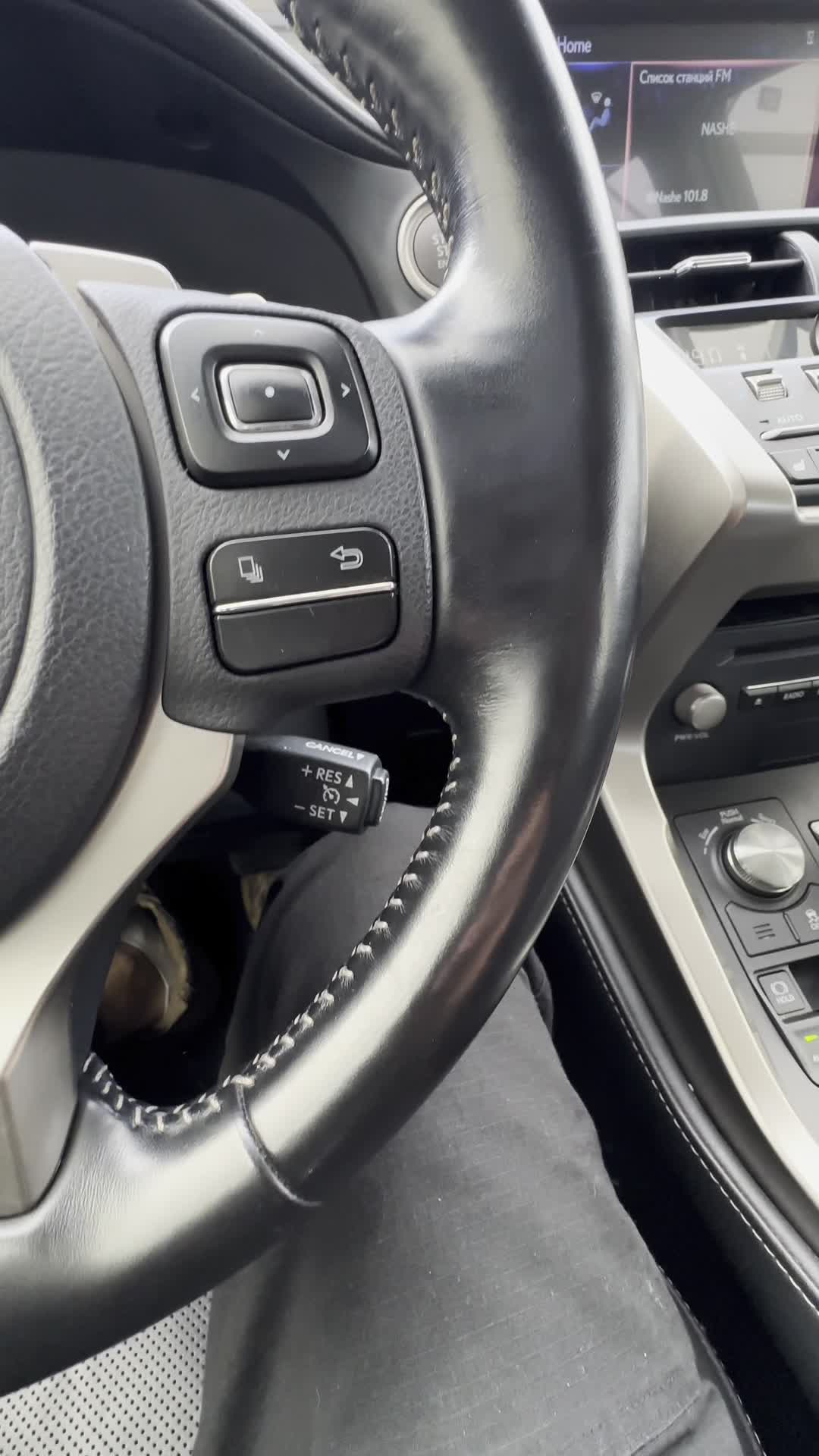 22.08 2259560 Lexus NX.MOV