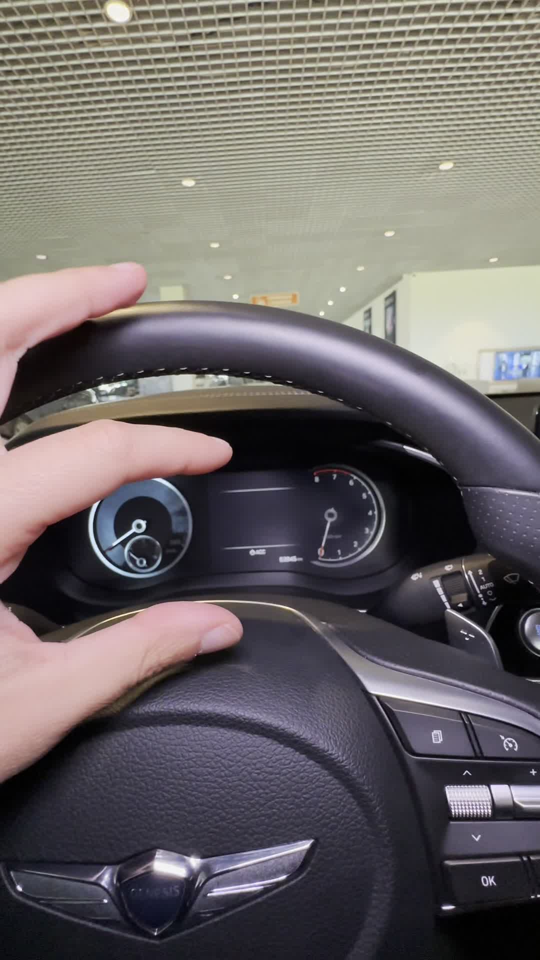 27.08 DM0001475 Genesis G70.MOV