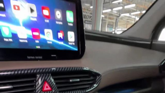 11.09 DM0002061 Hyundai Santa Fe.MOV