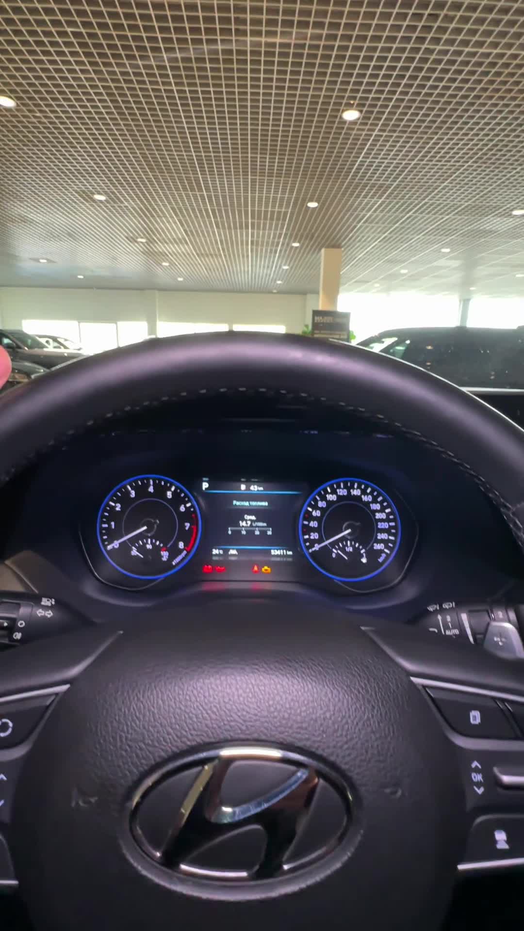 17.09 DM0000810 Hyundai Palisade.MOV
