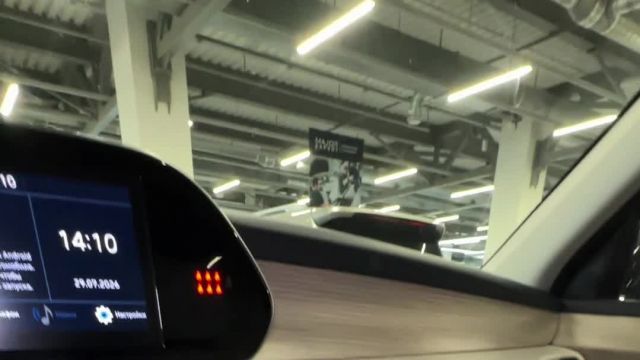 22.09 DM0000207 Hyundai Palisade.MOV