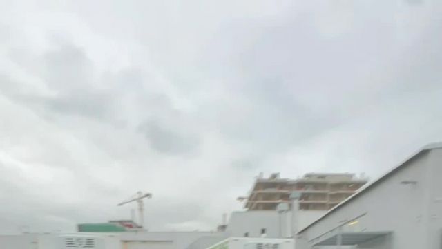 23.09 02080670 Lexus NX.MOV