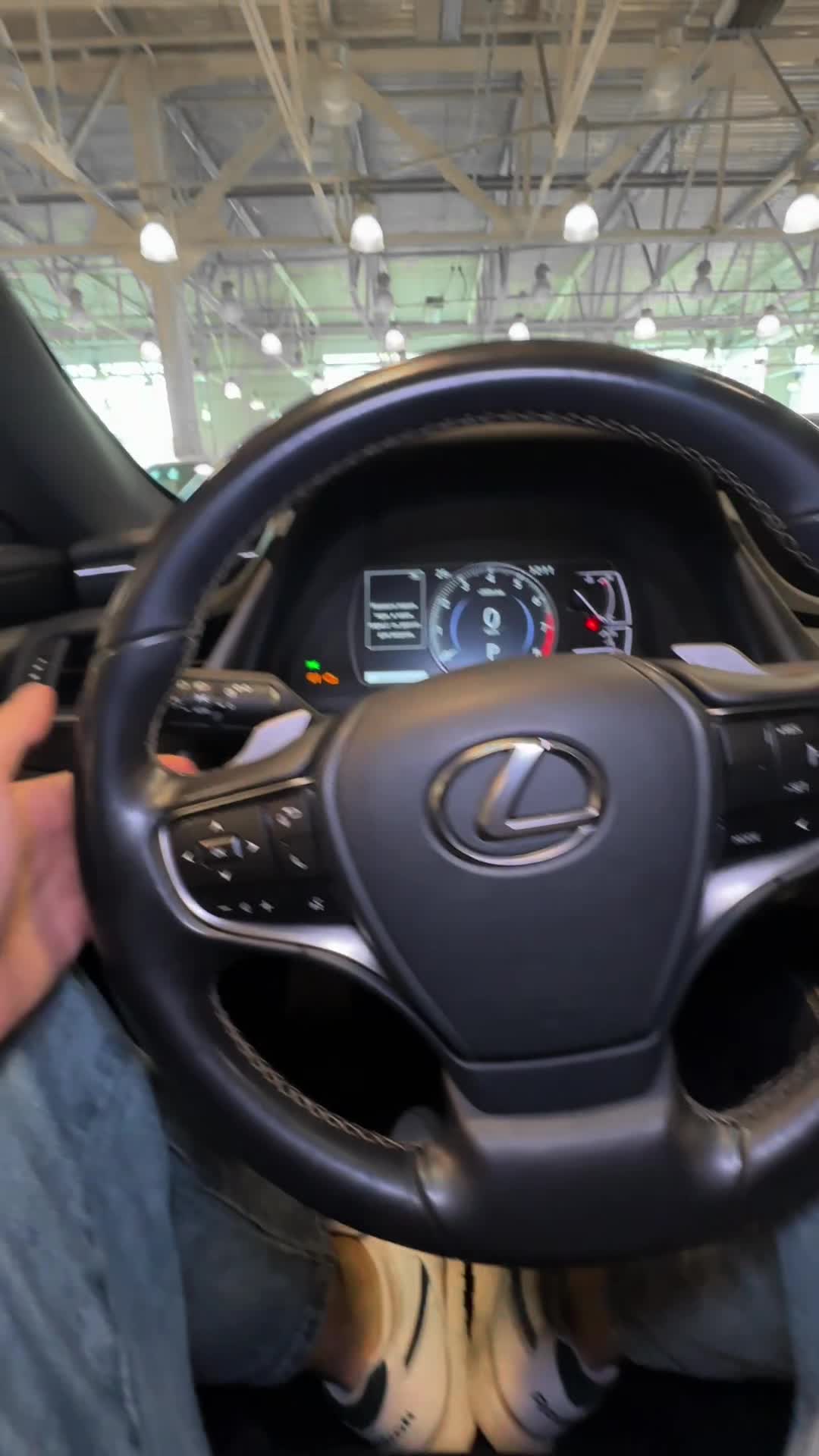 02.10 2040202 Lexus ES 250.MOV