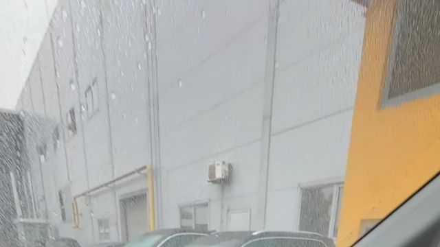 06.10 13678227 Mercedes Viano.MOV