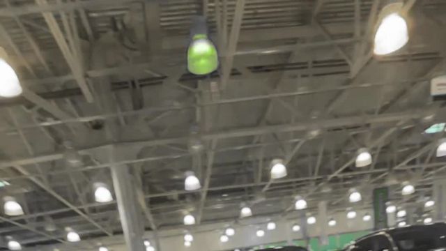 14.10 XN5036161 Kia K8.MOV