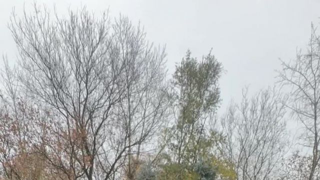 21.10 PB005893 Mercedes GLS.MOV