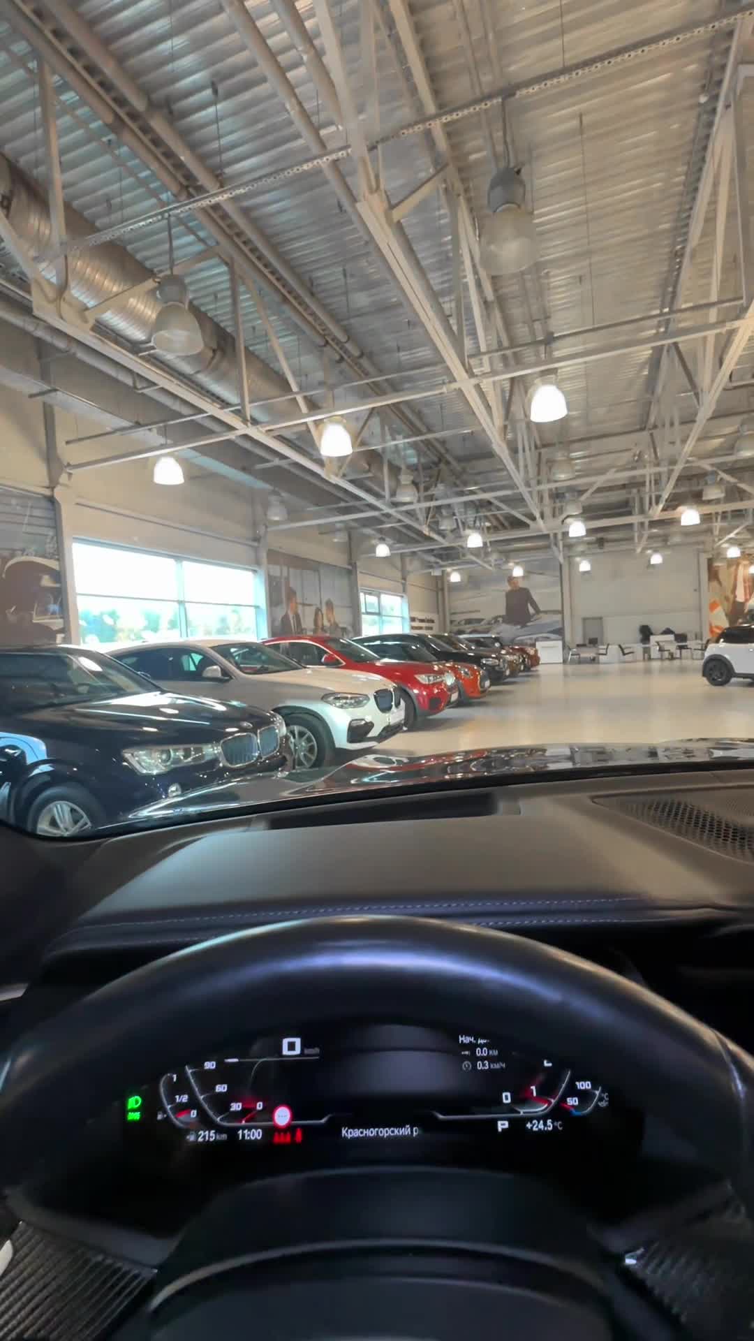 30.10 9F90285 BMW X5.MOV