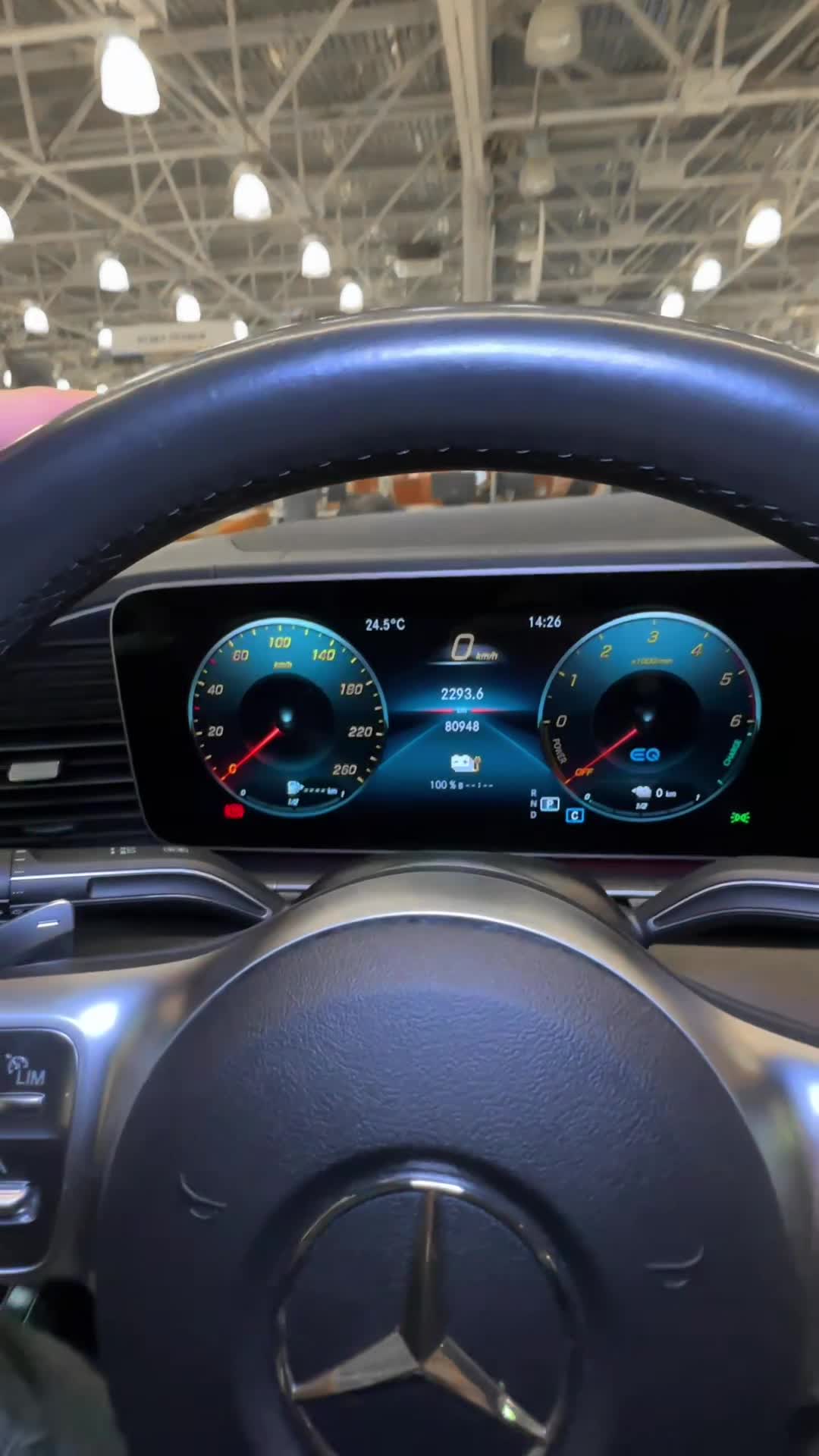 31.10 A316420 Mercedes GLE.MOV