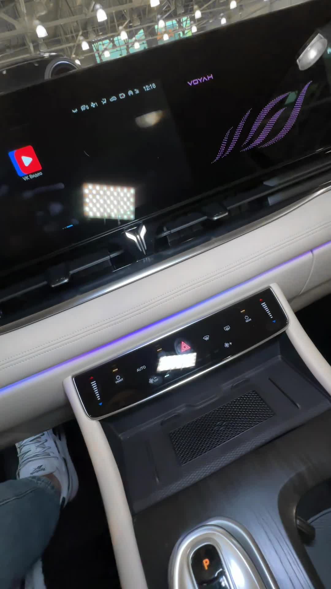 31.10 SL200780 Voyah Dream.MOV