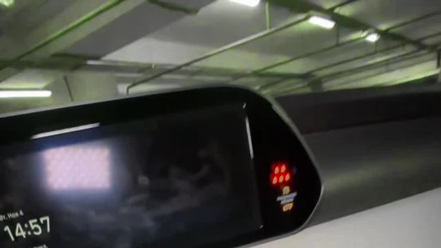 04.11 NU359094 Hyundai Palisade.MOV