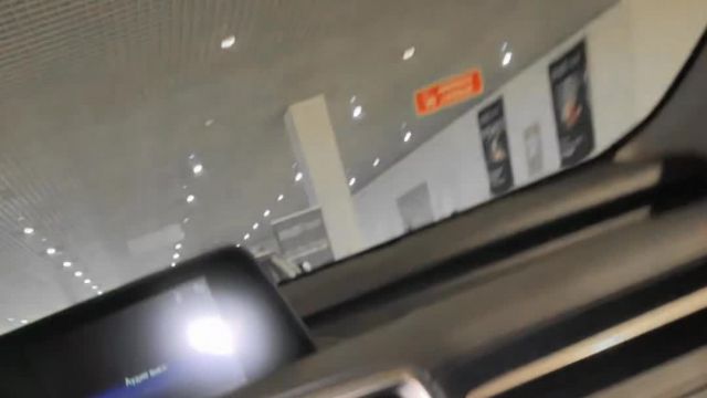 05.11 02051513 Lexus RX IV.MOV