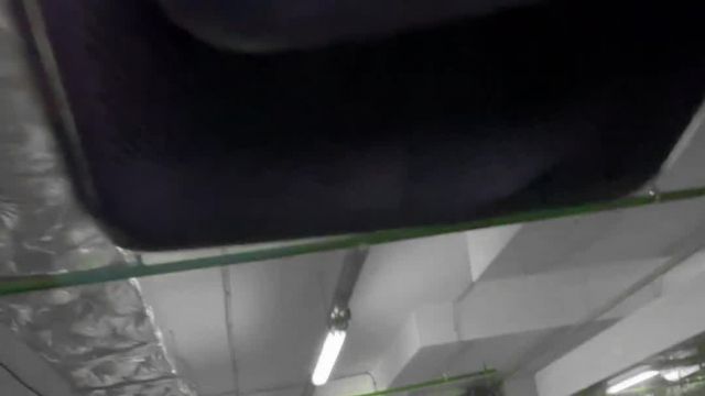 18.11 PD659551 Exeed RX Platinum.MOV