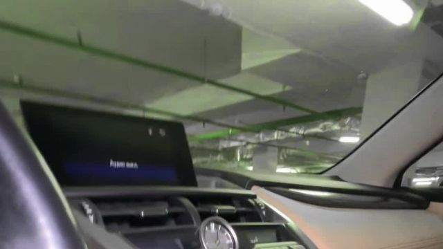 02.12 02019110 Lexus NX 200.MOV