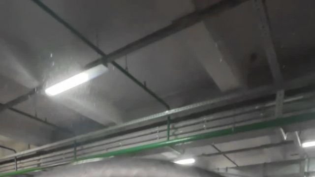 13.01 B216298 Mercedes GLS.MOV