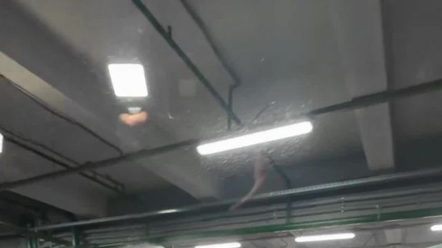 13.01 X270846 Mercedes-Benz G.MOV