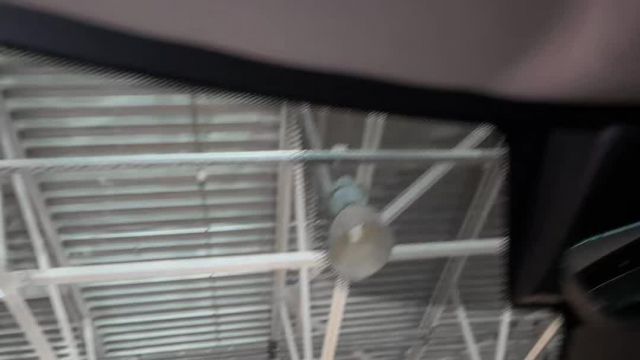 12.03 MA425763  Range Rover IV.MOV