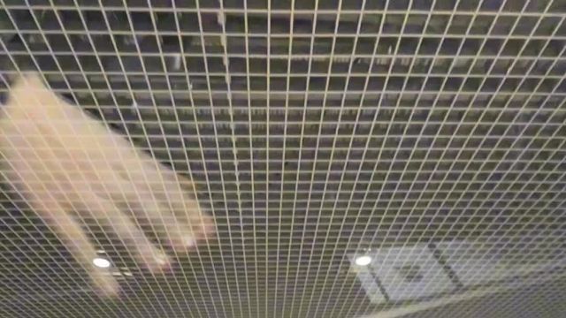 15.04 RD035608 Geely Tugella.MOV