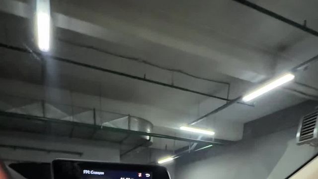 21.04 2039810 Lexus RX200t.MOV