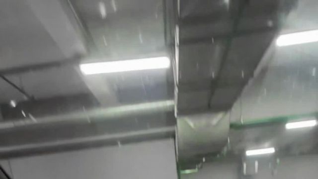 04.05 14126946 Mercedes-Benz V.MOV