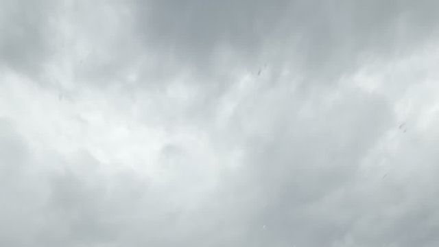 29.06 H2052102  Audi Q5.MOV