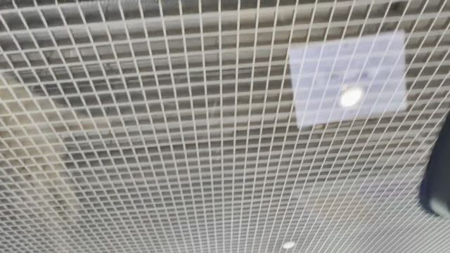 15.07 RH940252 Wey 05.MOV
