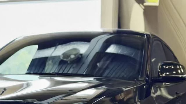 09.10 P58997 BMW X4.MOV